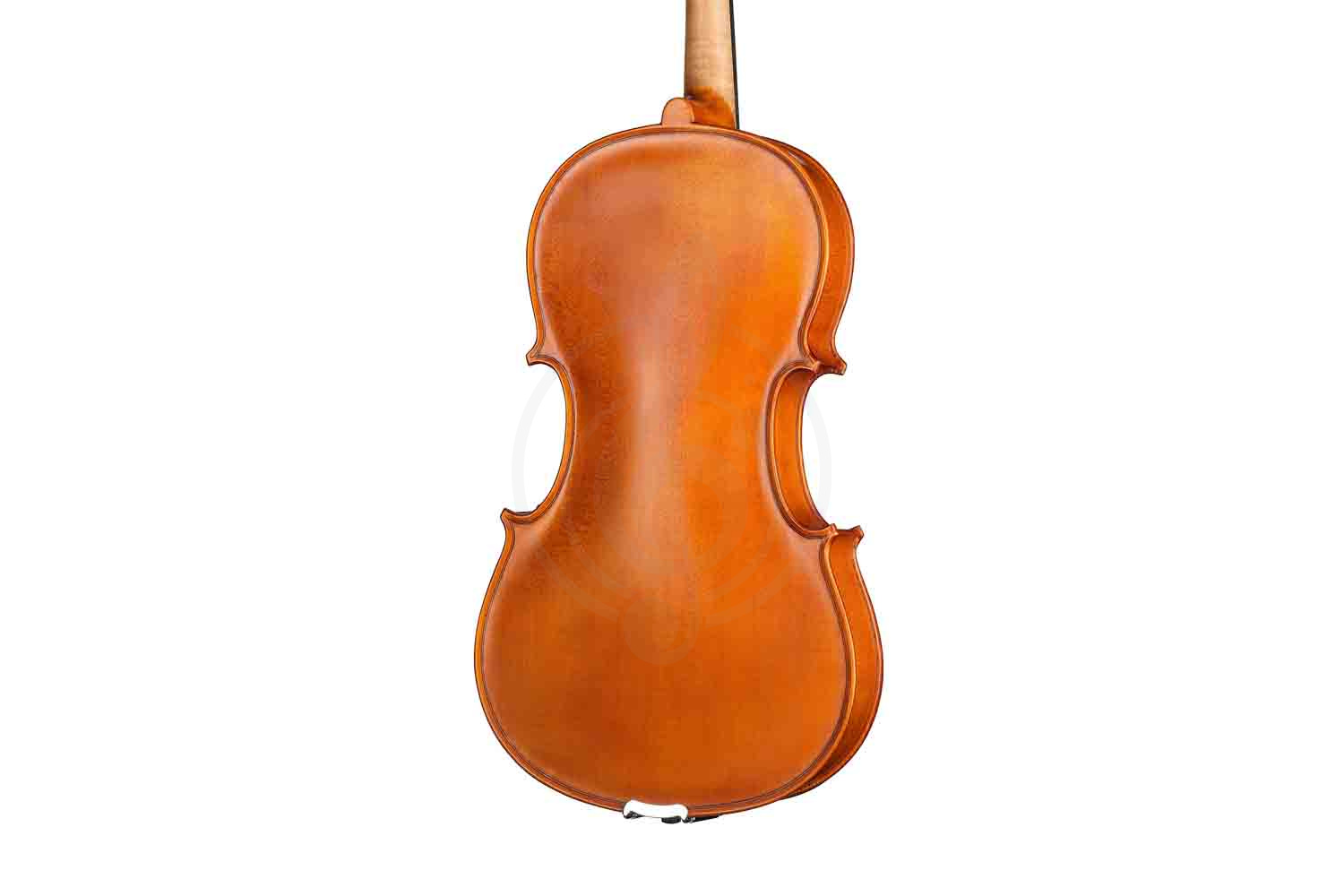 Альт Gliga S-V165 Student Genial 1 Oil - Альт, Gliga S-V165 в магазине Доминанта мьюзик - фото 3