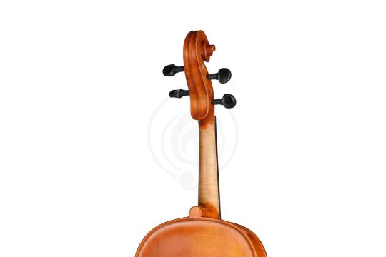 Альт Gliga S-V165 Student Genial 1 Oil - Альт, Gliga S-V165 в магазине Доминанта мьюзик - фото 2