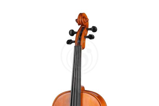 Альт Gliga S-V165 Student Genial 1 Oil - Альт, Gliga S-V165 в магазине Доминанта мьюзик - фото 5