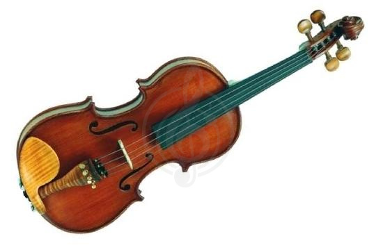 Изображение Скрипка 1/2 Gliga SG-V012