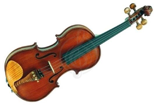 Скрипка 3/4 Gliga SG-V034 Student Genial I Gloria - Скрипка 3/4, Gliga SG-V034 в магазине DominantaMusic - фото 1
