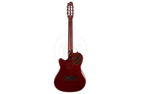 Электроакустическая гитара Godin 032266 MultiAc Nylon Duet Ambiance - Электро-акустическая гитара, Godin 032266 в магазине Доминанта мьюзик - фото 2