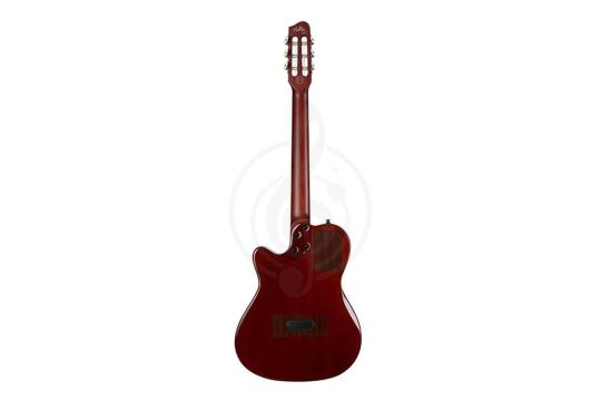 Электроакустическая гитара Godin 032266 MultiAc Nylon Duet Ambiance - Электро-акустическая гитара, Godin 032266 в магазине Доминанта мьюзик - фото 3