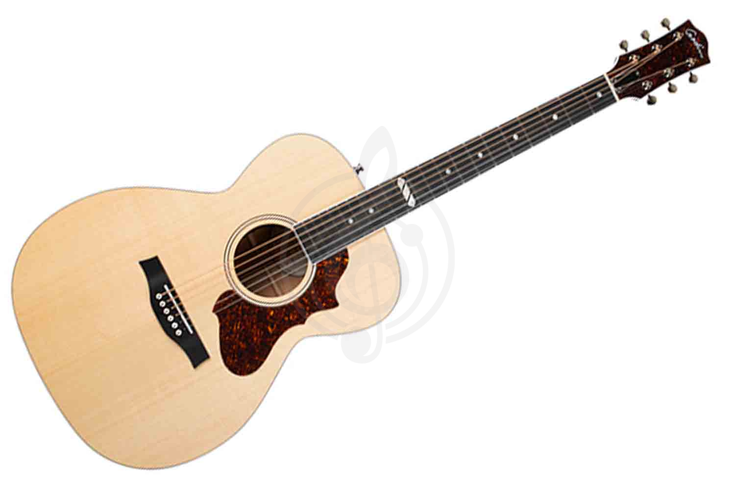 Электроакустическая гитара Godin 047949 Fairmount CH Natural HG EQ - Электро-акустическая гитара, Godin 047949 в магазине Доминанта мьюзик - фото 1