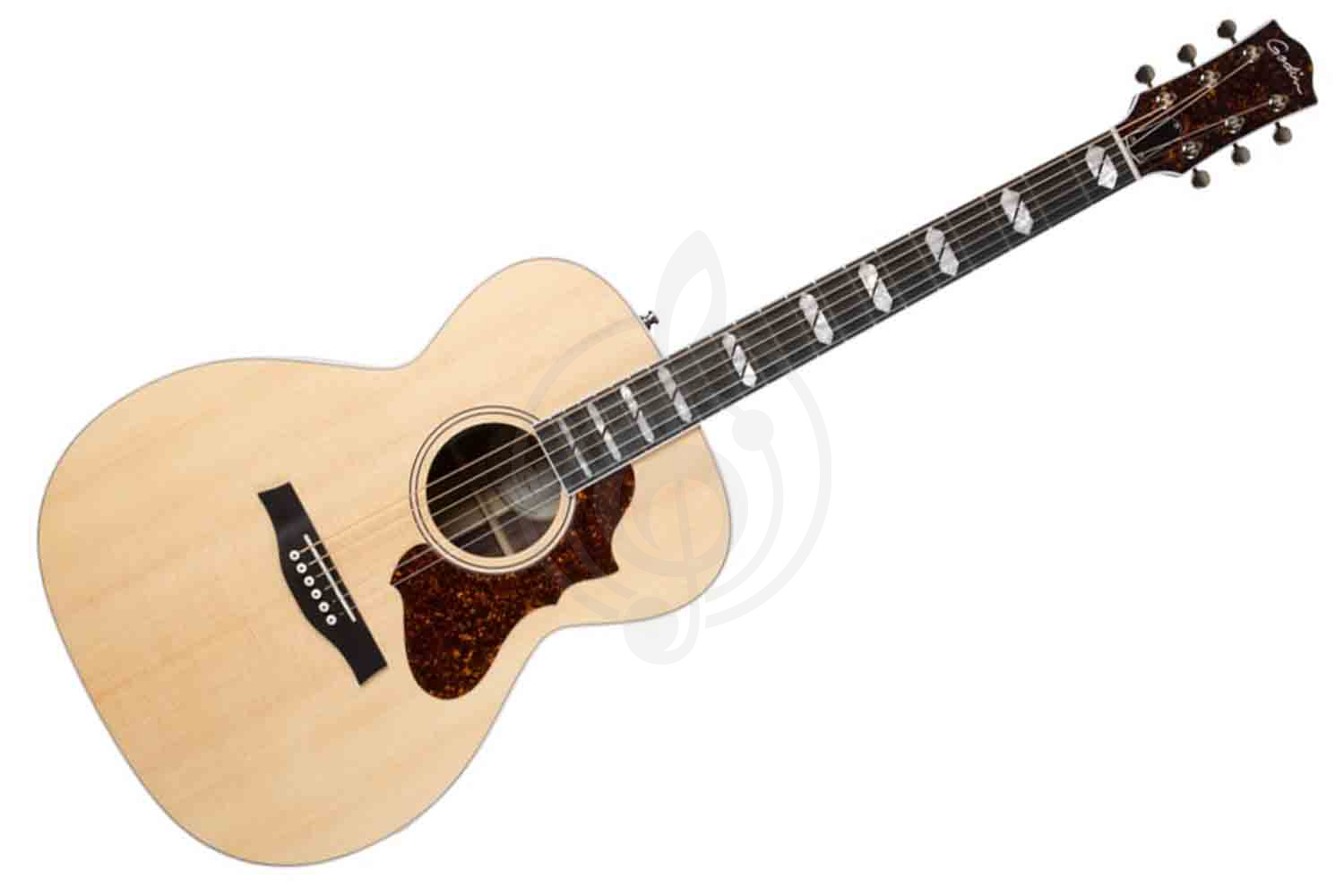 Электроакустическая гитара Godin 048397 Fairmount CH LTD Rosewood HG EQ - Электро-акустическая гитара, Godin 048397 в магазине Доминанта мьюзик - фото 1