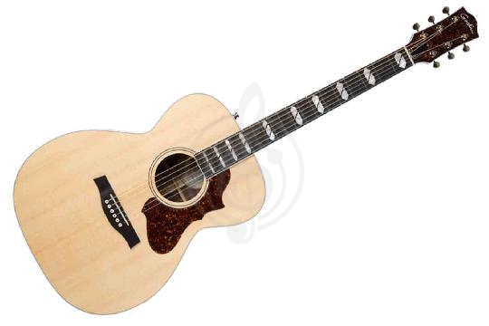 Изображение Электроакустическая гитара Godin 048397