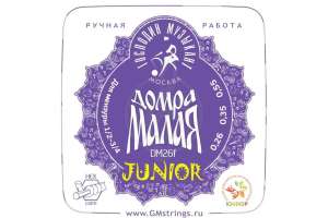 Перейти к просмотру Струны для домры Господин Музыкант DM26f Изображение Струны для домры Господин Музыкант DM26f