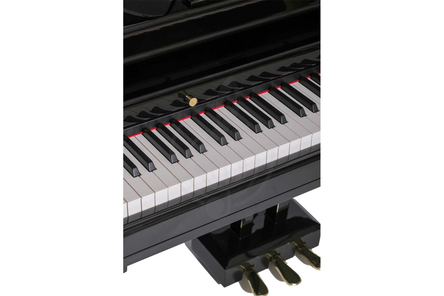 Цифровой рояль Grand-500-BLACK Цифровой рояль,  Grand-500-BLACK в магазине DominantaMusic - фото 6