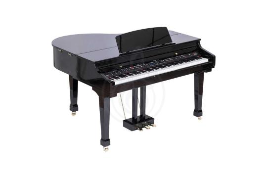 Цифровой рояль Grand-500-BLACK Цифровой рояль,  Grand-500-BLACK в магазине DominantaMusic - фото 9