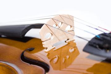 Скрипка 4/4 Скрипки 4/4 Hans Klein HANS KLEIN HKV-1NM 4/4 - Скрипка HKV-1NM 4/4 - фото 12