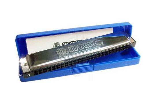 Тремоло губная гармошка Тремоло губные гармошки Hohner HOHNER Big Valley 2550/48 D - Губная гармошка тремоло M255003 - фото 2