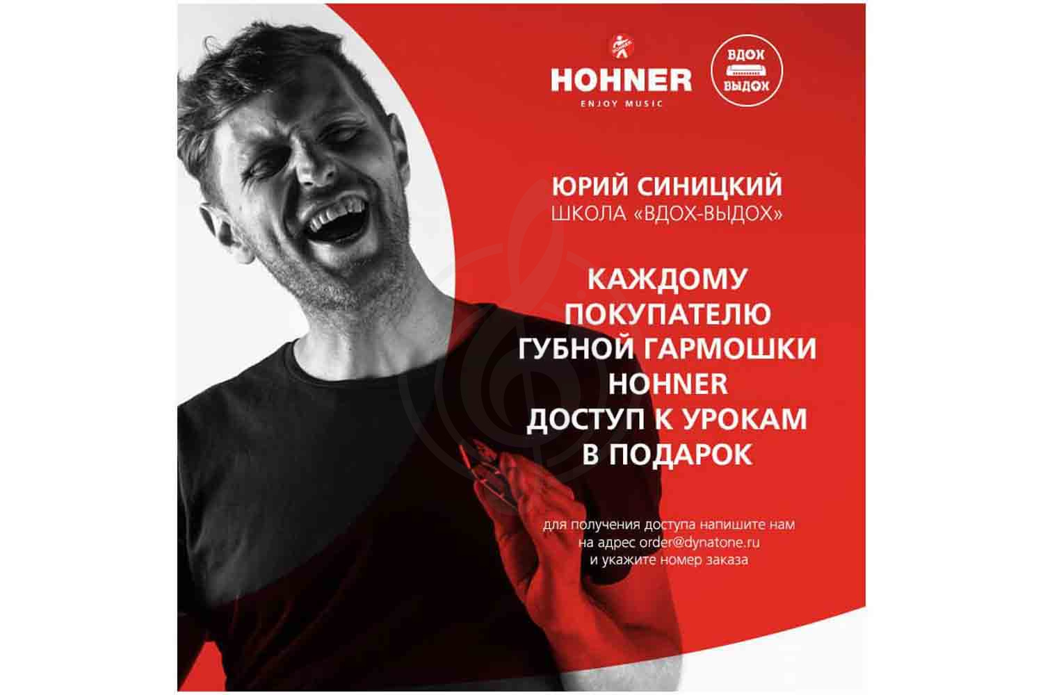 Диатоническая губная гармошка HOHNER Golden Melody 542/20 Db - Губная гармоника диатоническая Хонер,  Golden Melody 542/20 Db в магазине DominantaMusic - фото 4