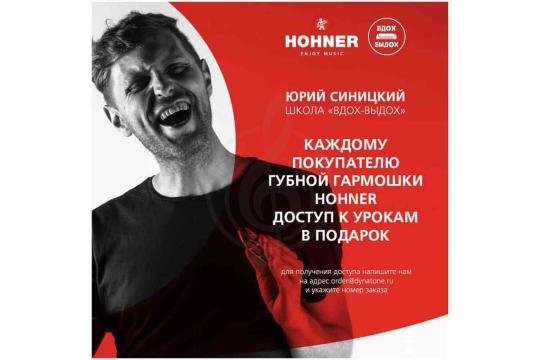HOHNER Golden Melody 542/20 Db - Губная гармоника диатоническая Хонер - фото 4 Диатоническая губная гармошка HOHNER Golden Melody 542/20 Db - Губная гармоника диатоническая Хонер, Golden Melody 542/20 Db в магазине DominantaMusic - фото 4