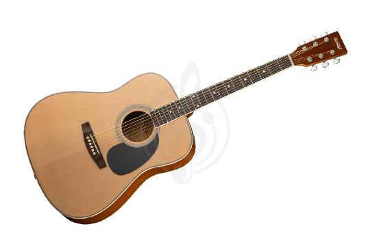 Изображение HOMAGE LF-4121-N Акустическая 6-струнная гитара 