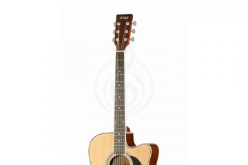 Акустическая гитара Акустические гитары Homage HOMAGE LF-4121C Акустическая 6-струнная гитара 41&quot; LF-4121C - фото 4