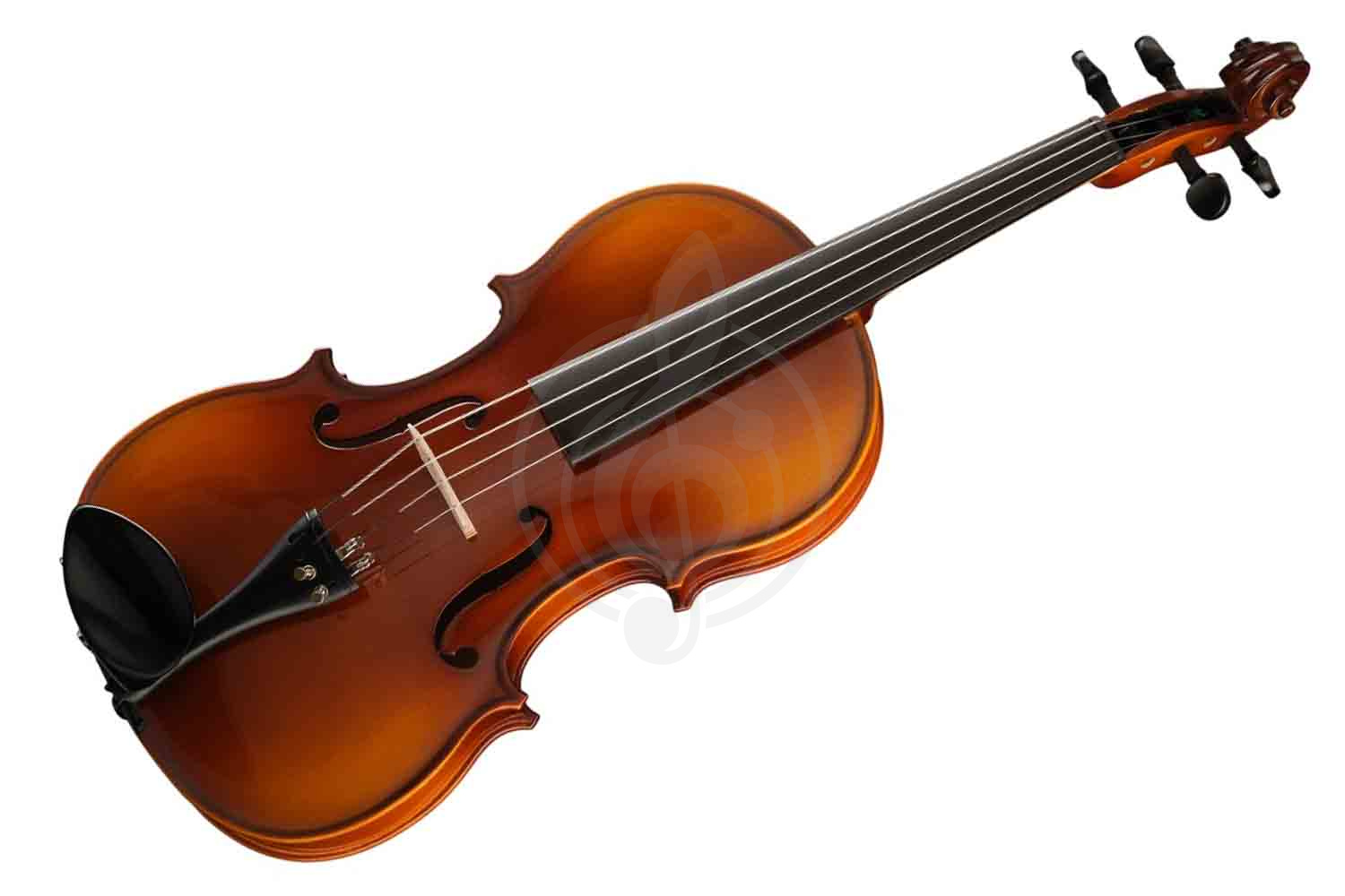 Альт Hora A100-15,5 Rhapsody Student - Альт студенческий, Hora A100-15,5 в магазине Доминанта мьюзик - фото 1