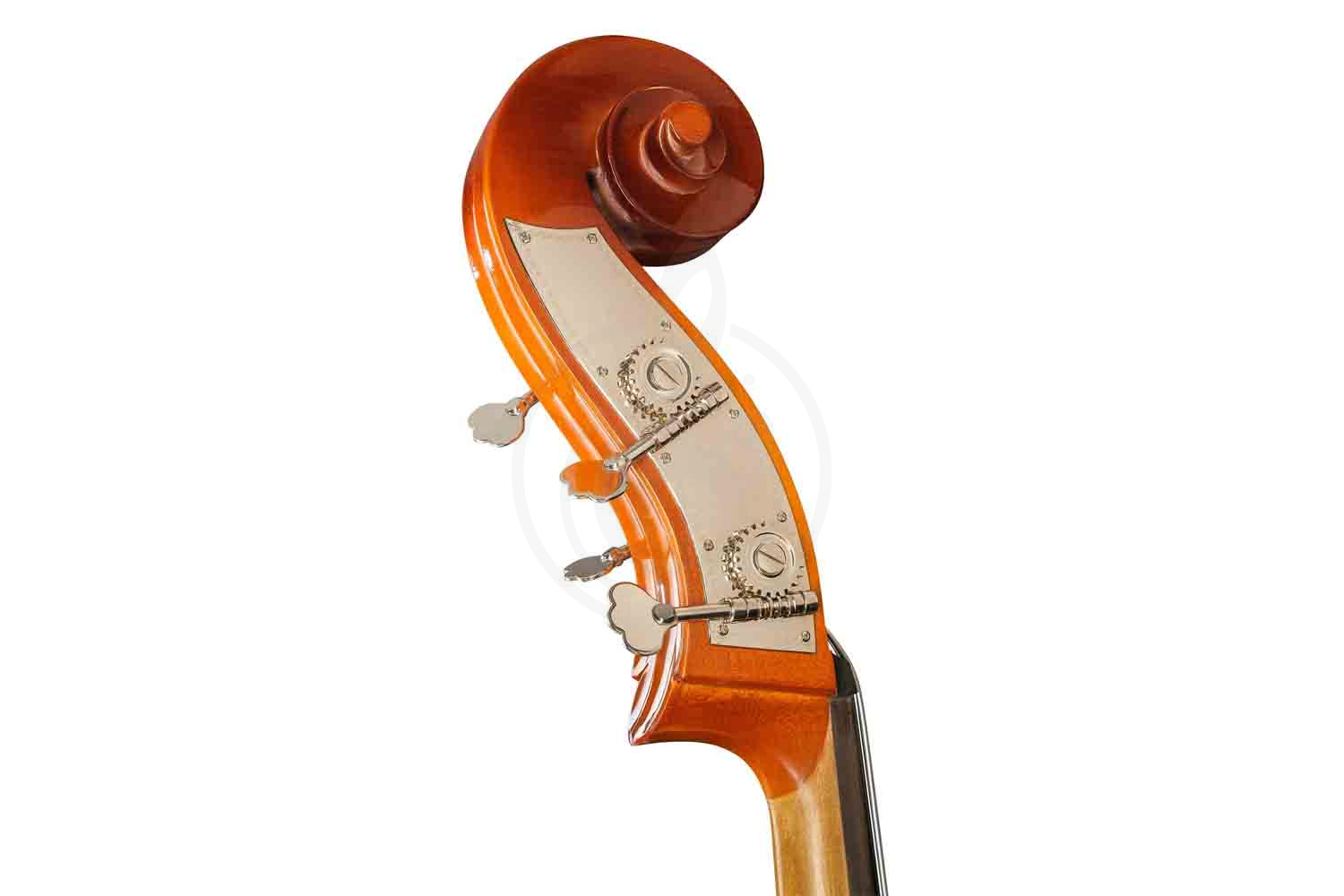 Контрабас 3/4 Hora B110BAG-3/4 Rhapsody Student solid top - Контрабас, Hora B110BAG-3/4 в магазине Доминанта мьюзик - фото 3