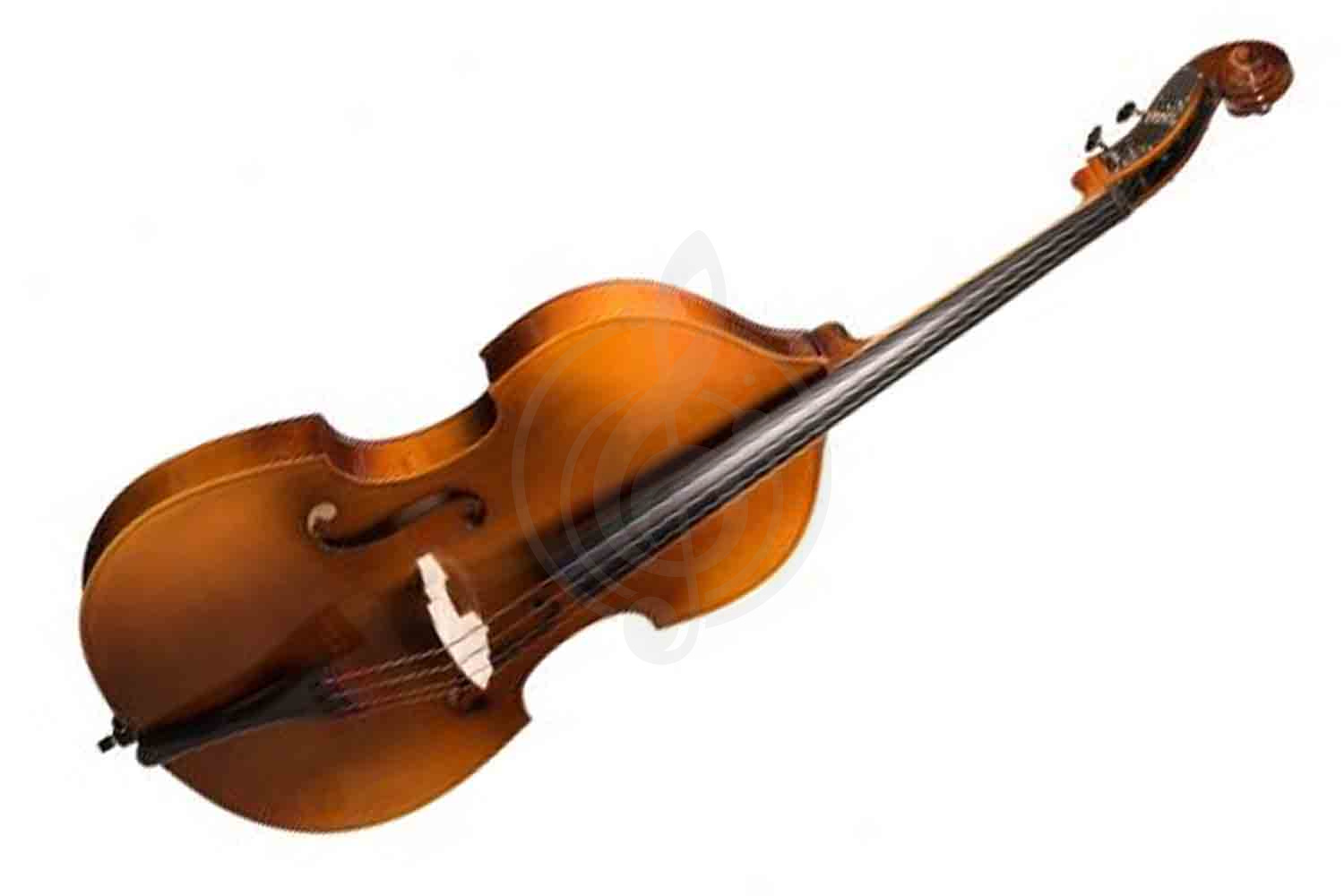 Контрабас 3/4 Hora B120S-3/4 Laminated 3/4 slim - Контрабас студенческий, Hora B120S-3/4 в магазине Доминанта мьюзик - фото 1