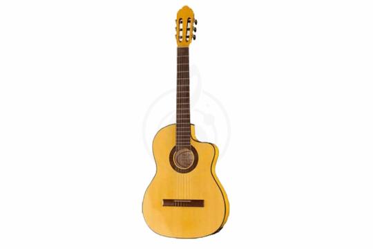 Классическая гитара 4/4 Hora N1105CTW Flamenco CTW - Классическая гитара, Hora N1105CTW Flamenco CTW в магазине Доминанта мьюзик - фото 6