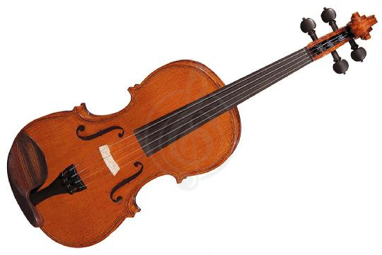 Изображение Hora V300-4/4 Professional - Скрипка модель "Professional"