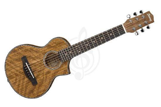 Изображение IBANEZ EWP14WB-OPN - Акустическая гитара