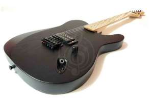 Изображение Электрогитара Telecaster Inspector TT-3-black