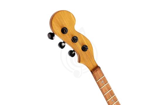 Домра малая INVA Академик - Малая домра 3-й категории,  ДМ3 в магазине DominantaMusic - фото 2