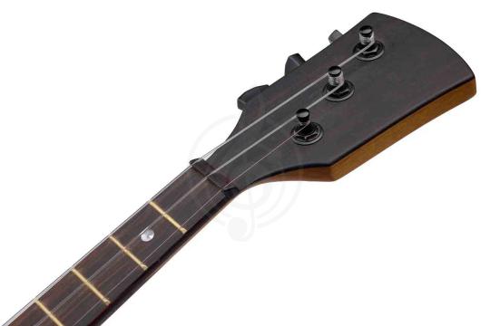 Балалайка прима INVA Артист - Балалайка прима, 2 категория, INVA БП2 в магазине DominantaMusic - фото 3