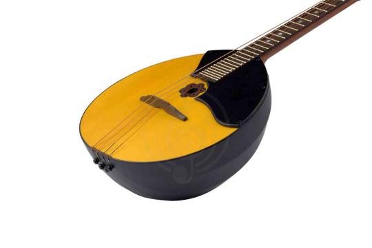 Домра прима Inva Артист - Домра прима, 2 категория, INVA Д42 в магазине DominantaMusic - фото 3