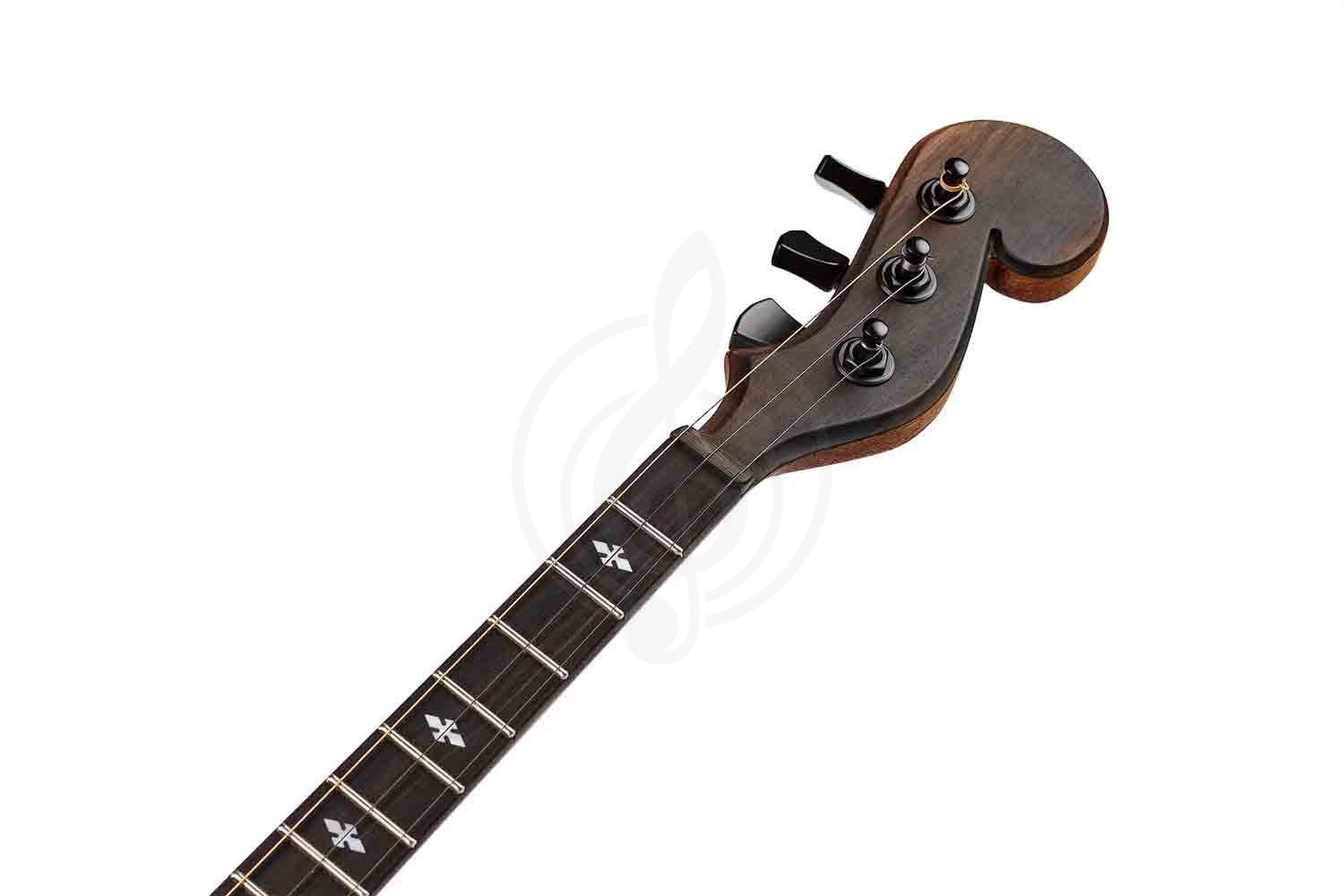 Домра малая INVA Гранд Мастер - Домра малая концертная, INVA ДМК в магазине DominantaMusic - фото 3