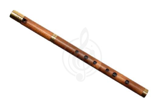 Изображение iVolga VBC-01 - Вистл Си