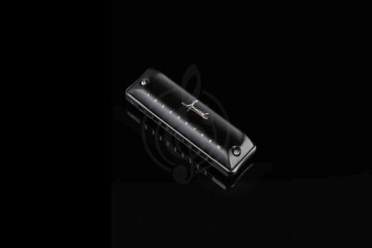 Диатоническая губная гармошка JDR Assassin-D - Губная гармошка, JDR Assassin-D в магазине Доминанта мьюзик - фото 9