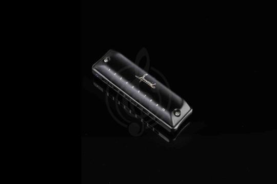 Диатоническая губная гармошка JDR Assassin-G - Губная гармошка, JDR Assassin-G в магазине Доминанта мьюзик - фото 7