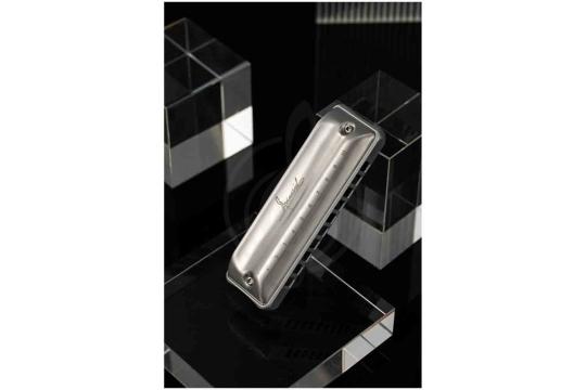 Диатоническая губная гармошка JDR Assassin-Pro-A - Губная гармошка, JDR Assassin-Pro-A в магазине Доминанта мьюзик - фото 13