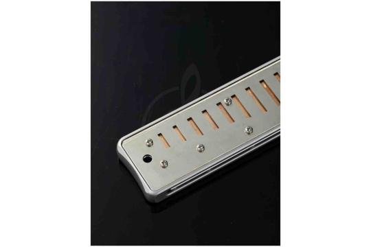 Диатоническая губная гармошка JDR Assassin-Pro-G - Губная гармошка, JDR Assassin-Pro-G в магазине Доминанта мьюзик - фото 5