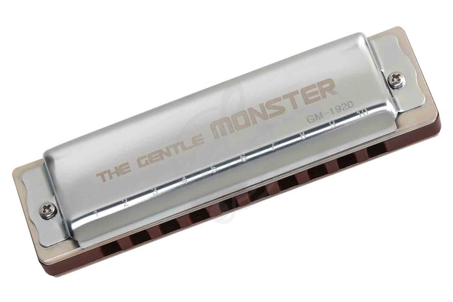 Диатоническая губная гармошка JDR GM-1920A Gentle Monster - Губная гармошка,  GM-1920A в магазине DominantaMusic - фото 1