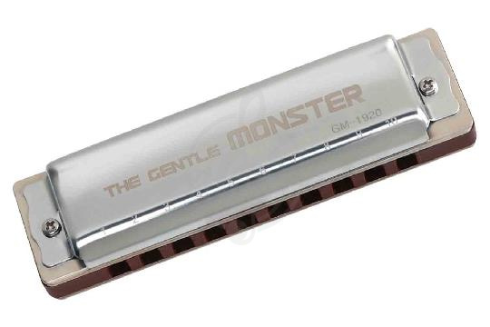Диатоническая губная гармошка JDR GM-1920A Gentle Monster - Губная гармошка,  GM-1920A в магазине DominantaMusic - фото 1