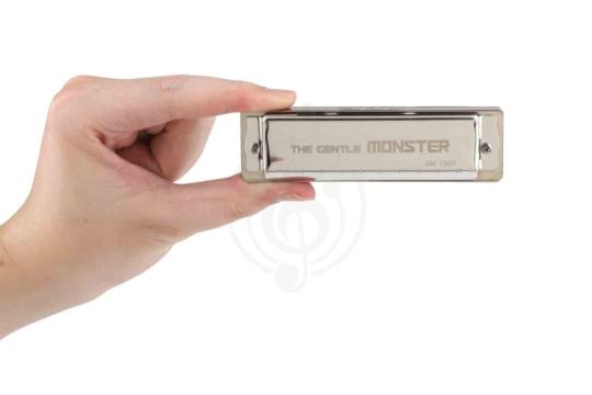 Диатоническая губная гармошка JDR GM-1920C Gentle Monster - Губная гармошка, JDR GM-1920C в магазине Доминанта мьюзик - фото 17