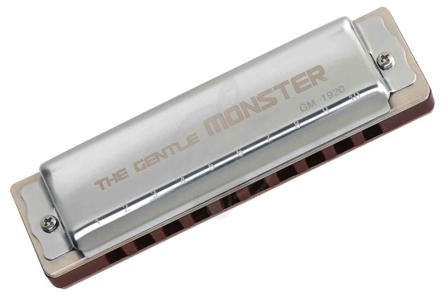 Диатоническая губная гармошка JDR GM-1920C Gentle Monster - Губная гармошка,  GM-1920C в магазине DominantaMusic - фото 1