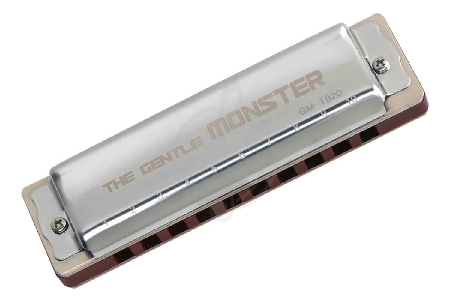 Диатоническая губная гармошка JDR GM-1920D Gentle Monster - Губная гармошка,  GM-1920D в магазине DominantaMusic - фото 1