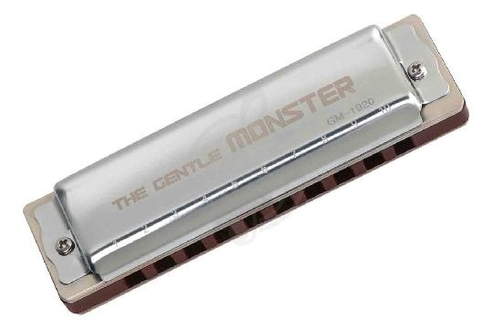 Диатоническая губная гармошка JDR GM-1920D Gentle Monster - Губная гармошка,  GM-1920D в магазине DominantaMusic - фото 1
