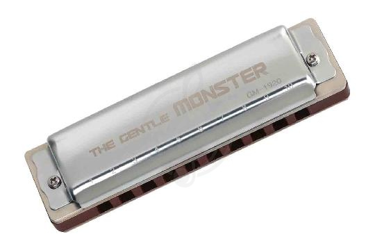 Диатоническая губная гармошка JDR GM-1920E Gentle Monster - Губная гармошка,  GM-1920E в магазине DominantaMusic - фото 1