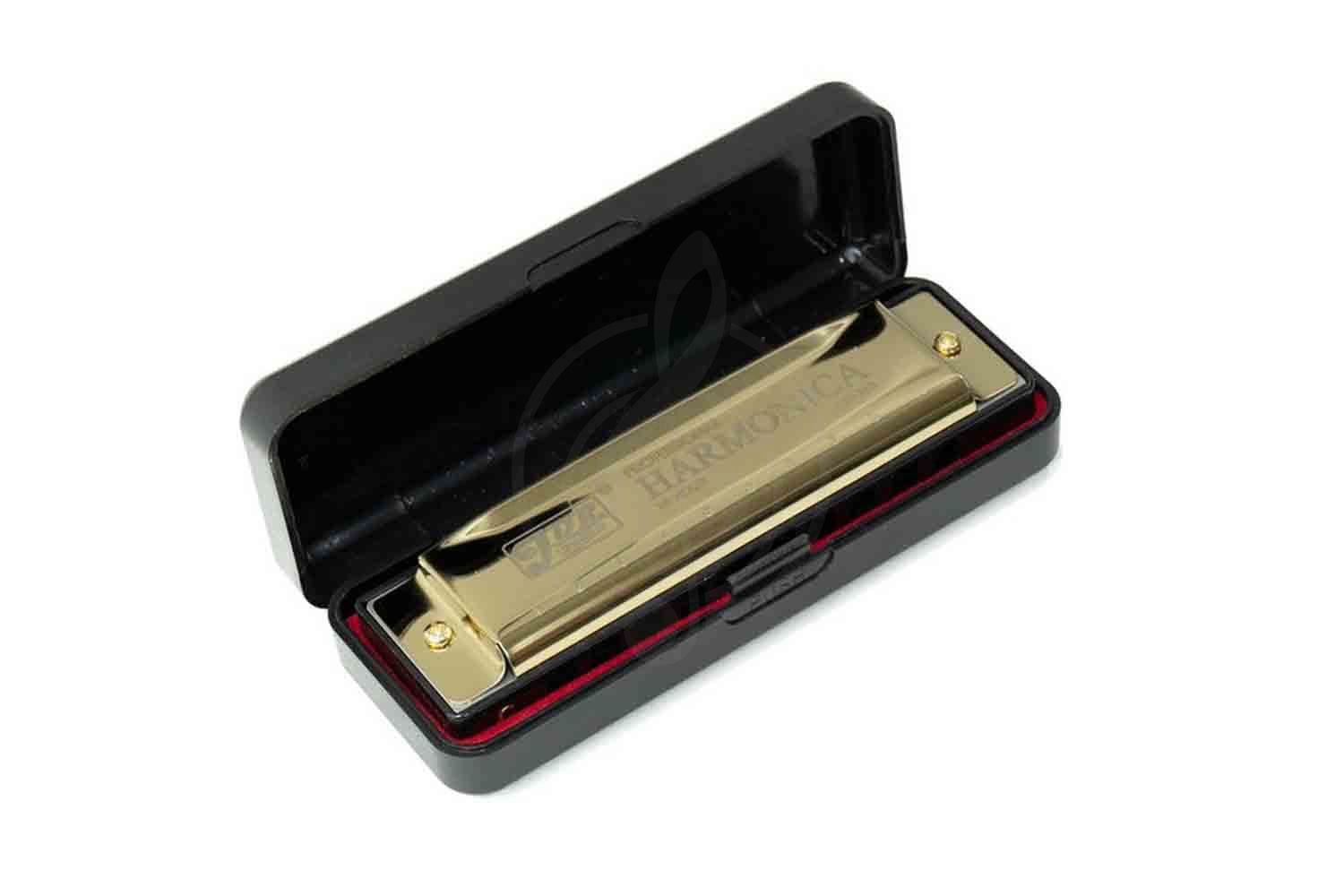 Диатоническая губная гармошка JDR H1005GD - Губная гармошка,  H1005GD в магазине DominantaMusic - фото 2