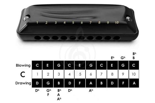 Диатоническая губная гармошка JDR Ninja-D - Губная гармошка, JDR Ninja-D в магазине Доминанта мьюзик - фото 7