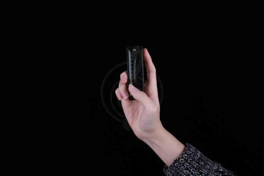 Диатоническая губная гармошка JDR Ninja-D - Губная гармошка, JDR Ninja-D в магазине Доминанта мьюзик - фото 14