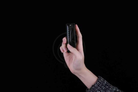 Диатоническая губная гармошка JDR Ninja-G - Губная гармошка, JDR Ninja-G в магазине Доминанта мьюзик - фото 13