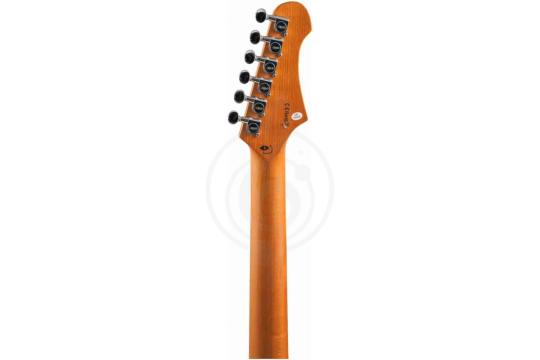 Электрогитара Telecaster JET JT-300 BTS LH - электрогитара под левую руку, Telecaster,  JT-300 BTS LH в магазине DominantaMusic - фото 18
