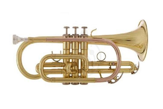 Изображение Корнет John Packer JP071MKII