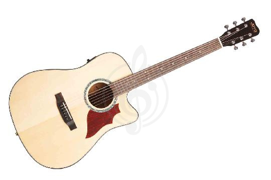 Трансакустическая гитара Joyo JWGT-01 - Гитара акустическая,  JWGT-01 в магазине DominantaMusic - фото 1