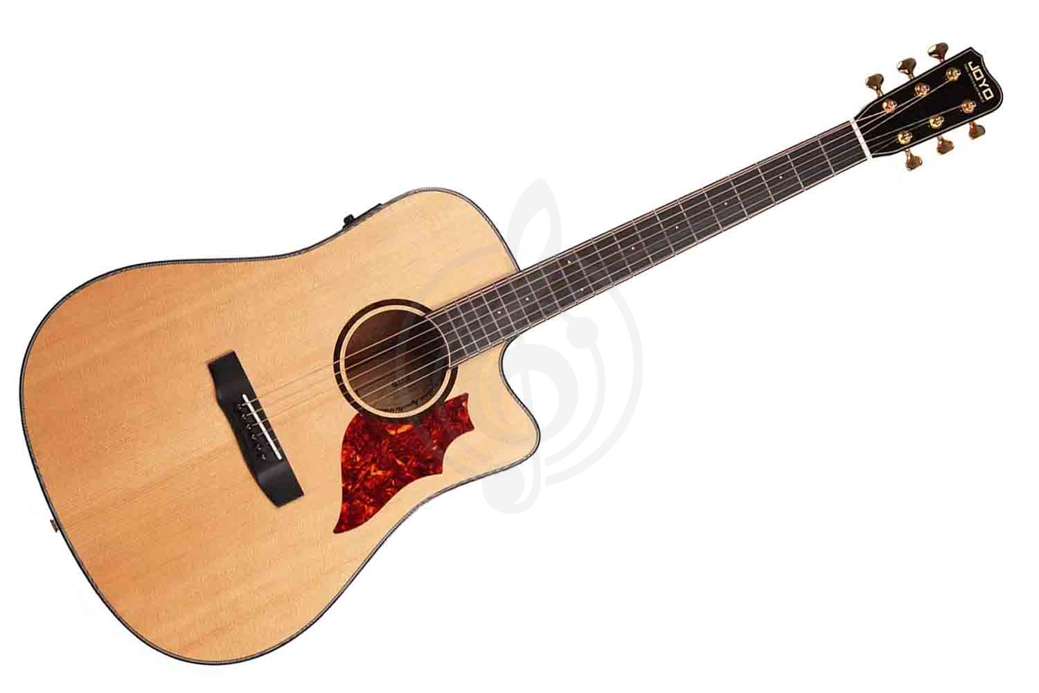Трансакустическая гитара Joyo JWGT-02 - Гитара трансакустическая, JOYO JWGT-02 в магазине Доминанта мьюзик - фото 1